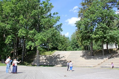 https://photos.app.goo.gl/7M6oHdfLg85SpR177