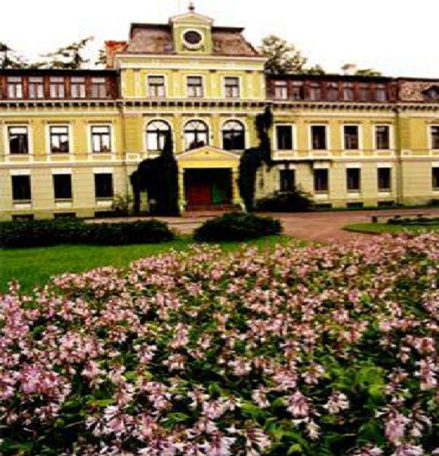 koceni.JPG